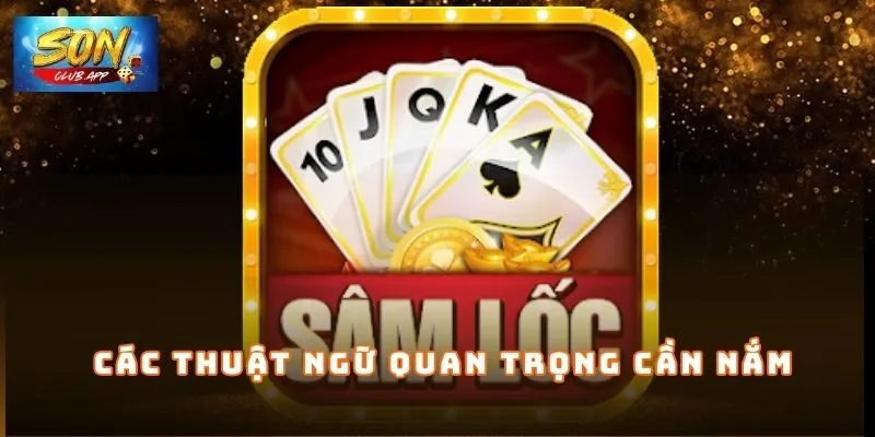 Các thuật ngữ quan trọng cần nắm